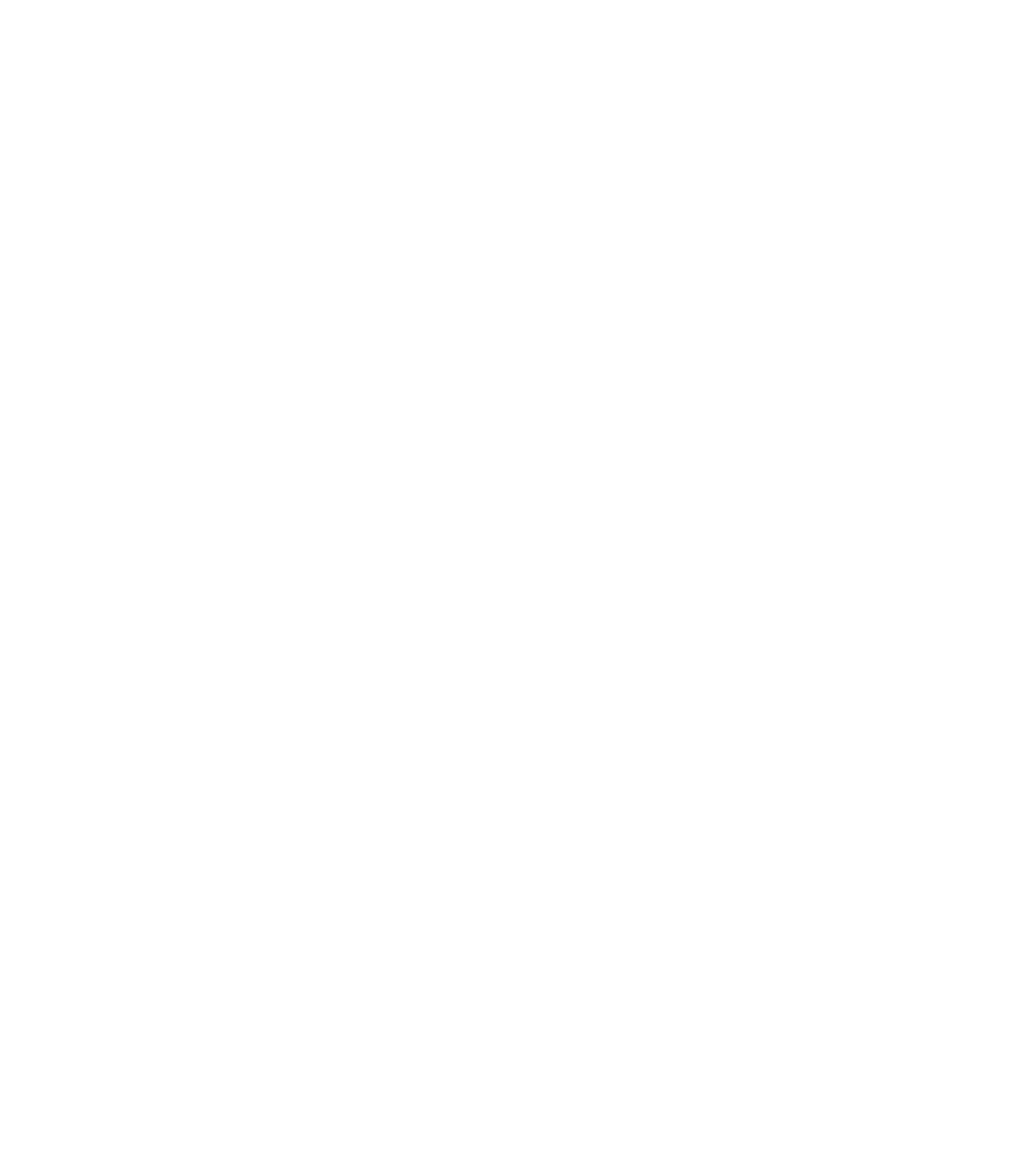 Delhi House Streetfood & Cocktailbar -logo.